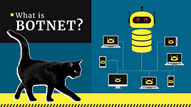 What is a Botnet? DDoS and Botnet Attacks in 2024