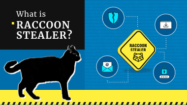What Is Raccoon Stealer? | Gridinsoft