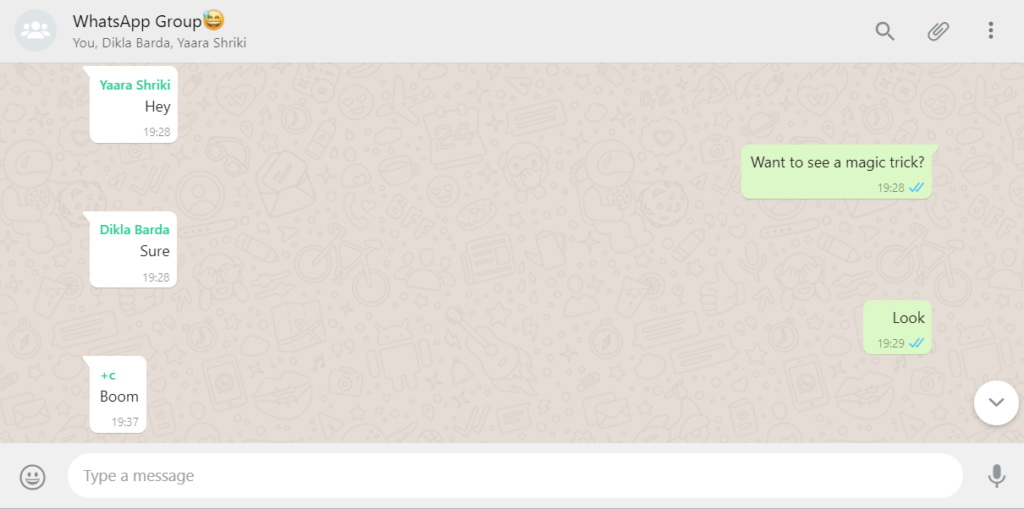 Message disable WhatsApp chat