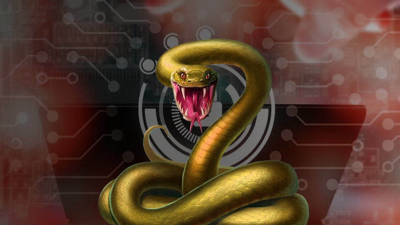 Fresenius attacked with Snake ransomware