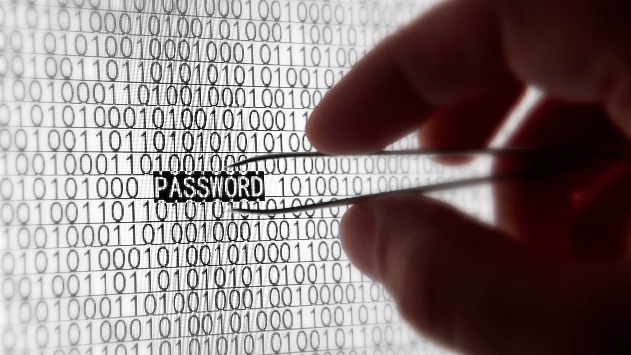 Users seldom change passwords