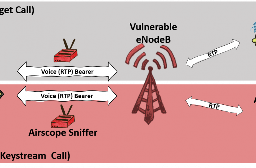 ReVoLTE attack on LTE networks