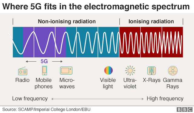 5G harmlessness