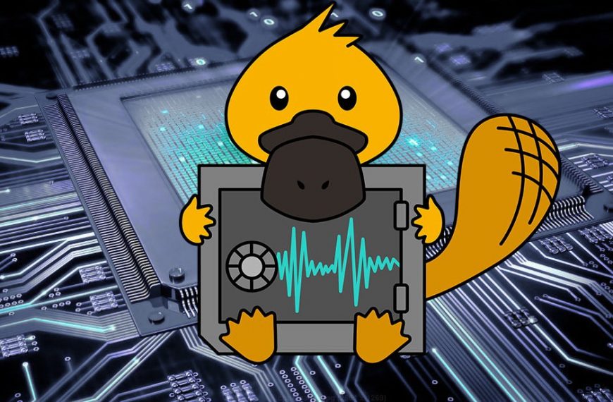 Platypus attack allows stealing data from Intel processors