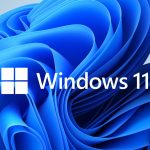 fake Windows 11 installers