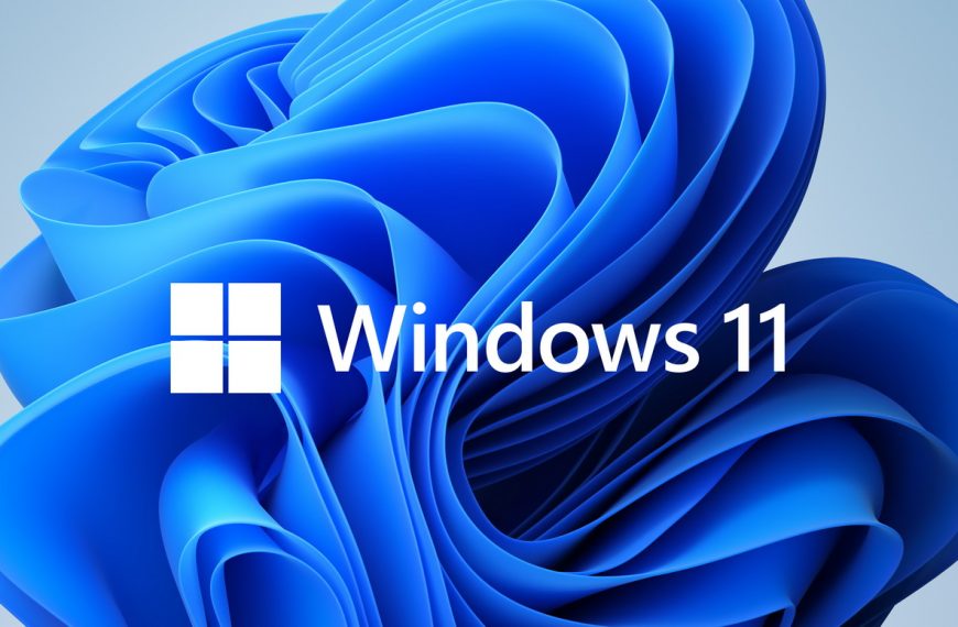 fake Windows 11 installers