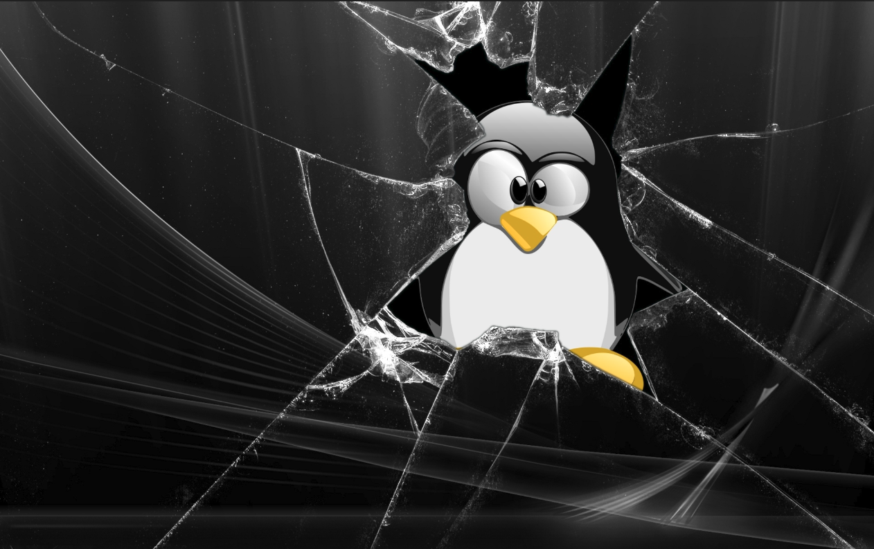 most attacked Linux vulnerabilities