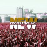 BlackMatter attacked NEW Cooperative