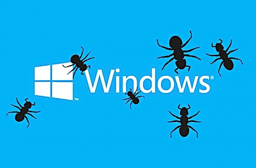 published an exploit for Windows