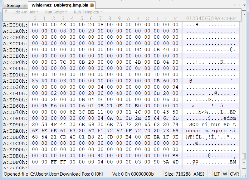 Reversed bytes in the downloaded DLL