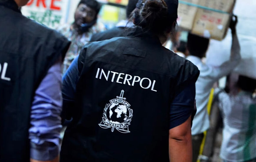 Interpol Operatives
