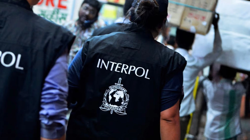 Interpol Operatives