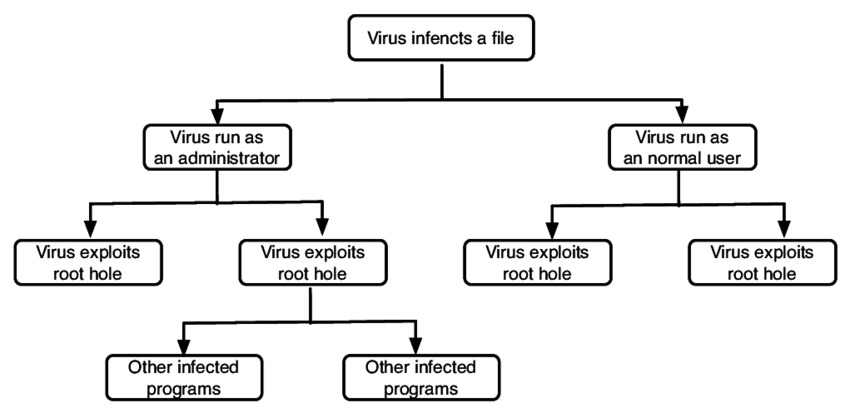 Computer virus attack scheme