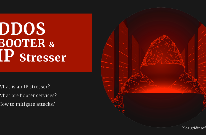 DDoS Booter & IP Stresser