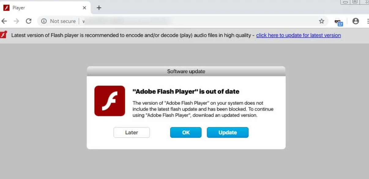 Update Flash Player Scam