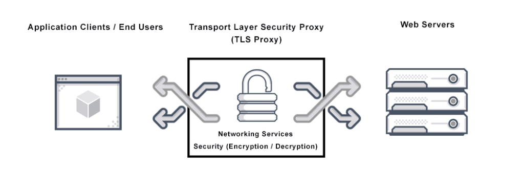 TLS application scheme