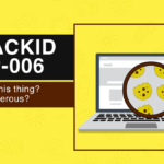 Trackid=sp-006 - what is that?