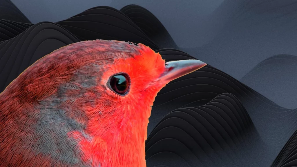 Raspberry Robin Worm Uses Fake Malware to Trick Security Researchers
