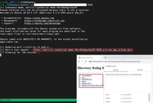 Malware on GitHub Codespaces