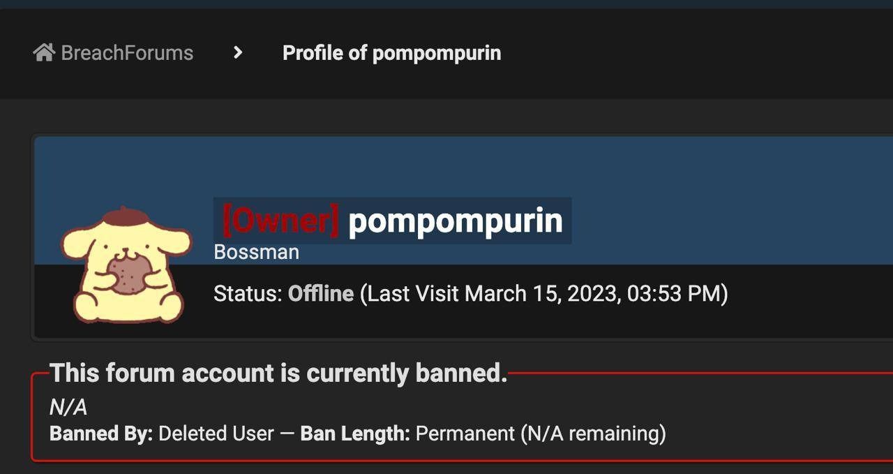 PomPomPurin account banned