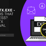 What is Oneetx.exe Process?