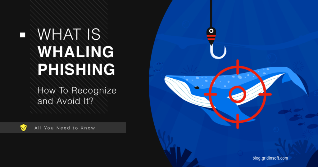 What is Whaling Phishing and How To Recognize and Avoid It?