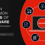 7 Most Common Types of Malware Explained