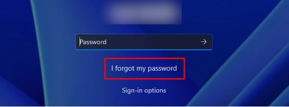 I forgot my password 