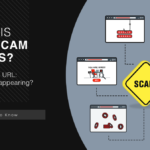 URL:Scam Detection Explained