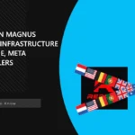 Law Enforcements Disrupt Redline, META infostealers in Operation Magnus