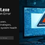 svchost.exe Application Error