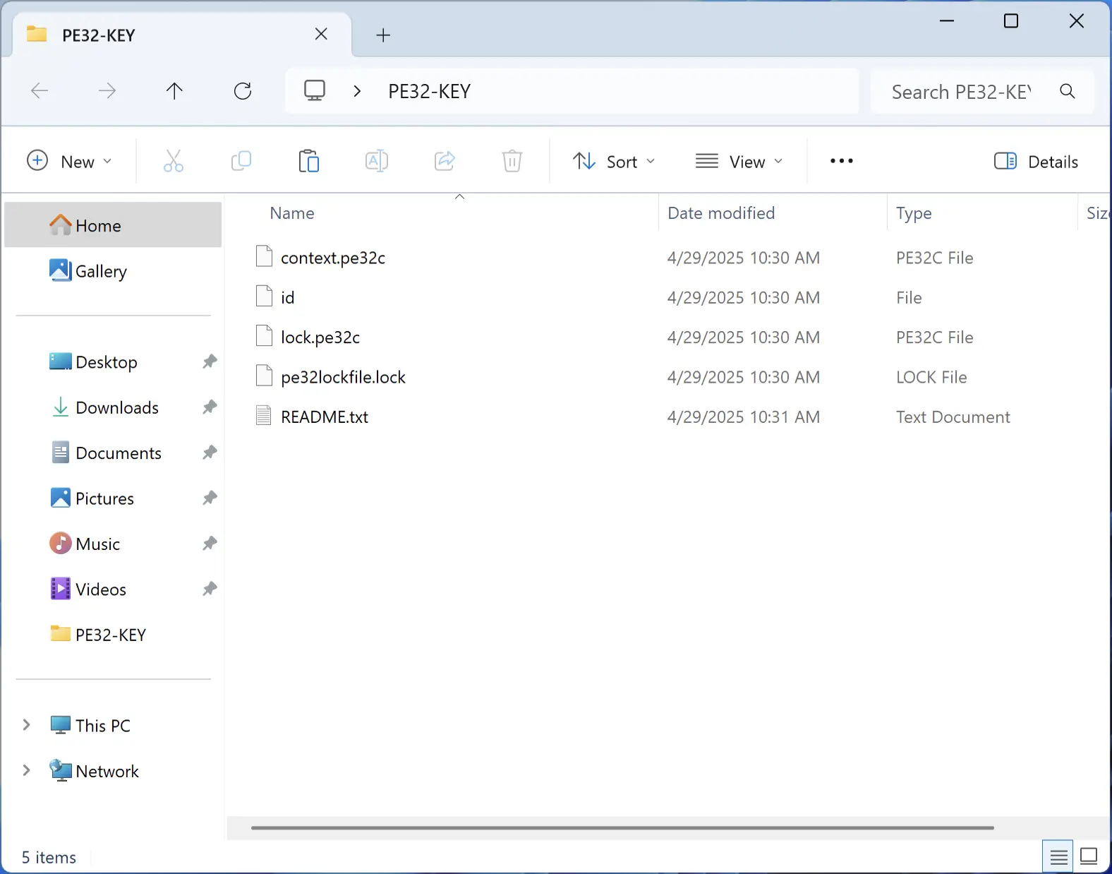 PE32 Ransomware 2 PE32-KEY folder screenshot