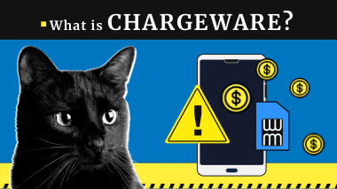 What is a Chargeware? Attacks & Examples in 2023 | Gridinsoft