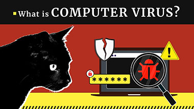 Computer viruses - the tribute to history