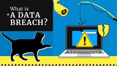 What is a Data Breach? Definition & Examples in 2022. | Gridinsoft