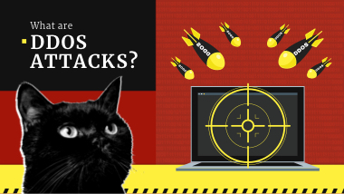 What is a Denial-of-Service (DDoS) Attacks? DDoS Definition & Types | Gridinsoft