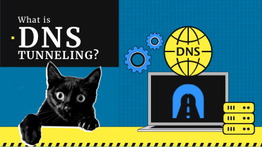 What is DNS Tunneling? How DNS Tunneling Works? | Gridinsoft