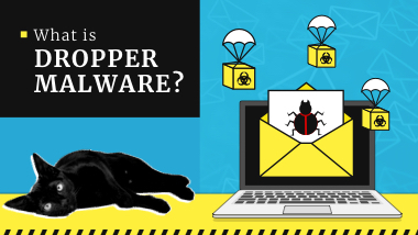 Dropper Malware | Gridinsoft