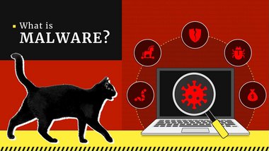 What is Malware and How Does It Work? Definition & Examples | Gridinsoft