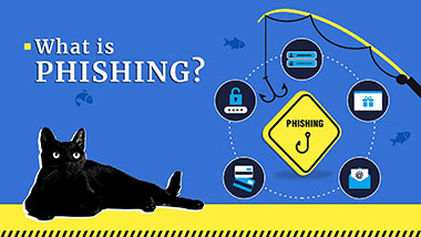 What is Phishing? Attack Techniques & Examples in 2023 | Gridinsoft