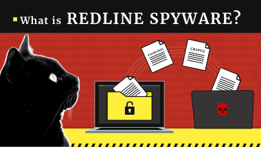 RedLine Stealer Malware | Research Report 2023