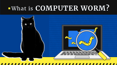Computer Worm Definition, Explanation & Examples | Gridinsoft