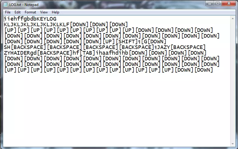 The example of keylogger logs. That is what fraudsters see.