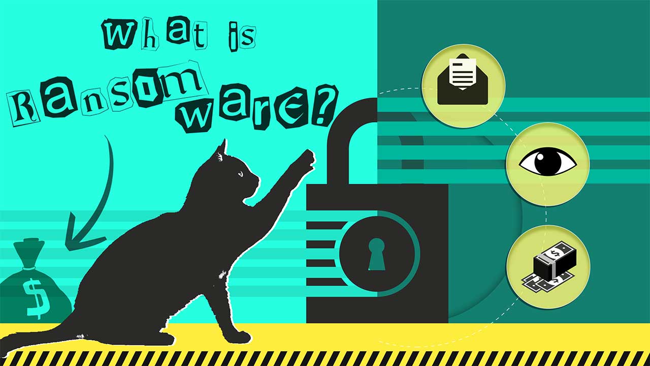Www Cat Wep Com - What is STOP/Djvu Ransomware? - Keep Your Privacy Well