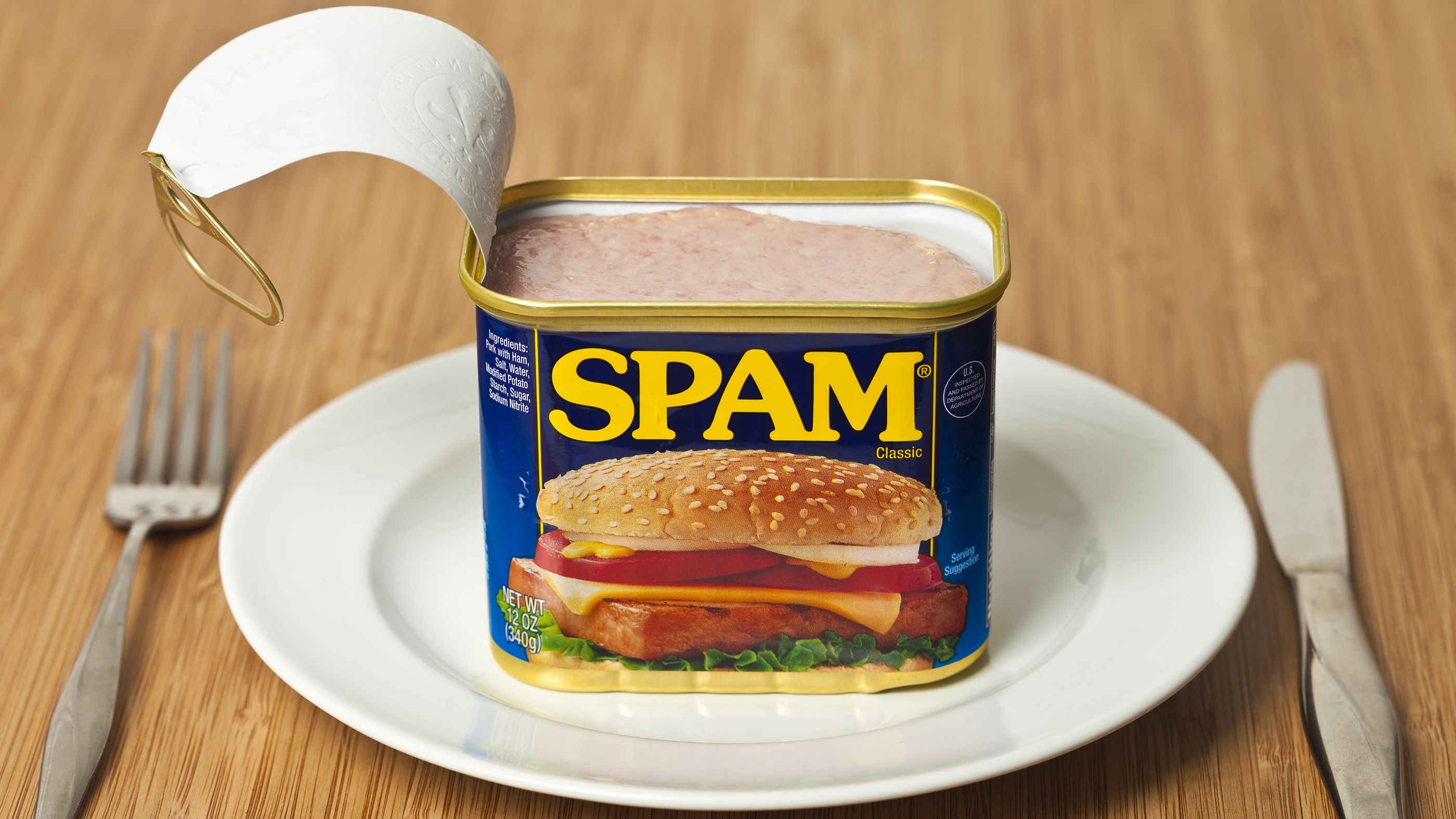 Spiced ham can - SPAM