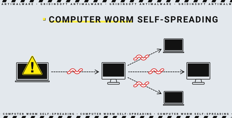 computer worm diagram