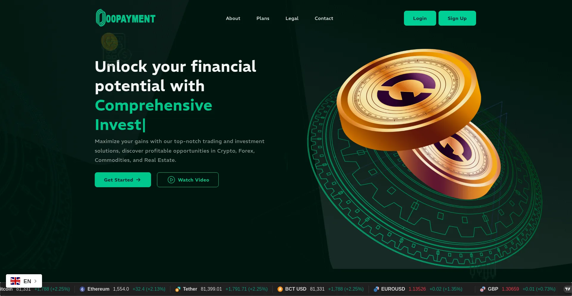 Website screenshot of 00payment.com