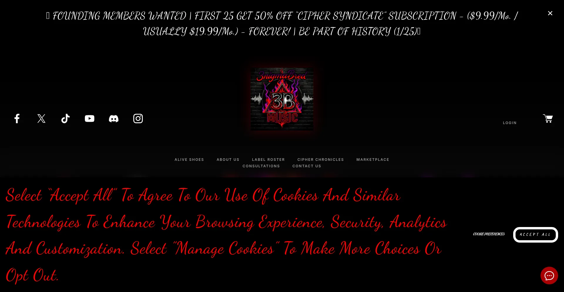 3nigmabredmusic.com Screenshot