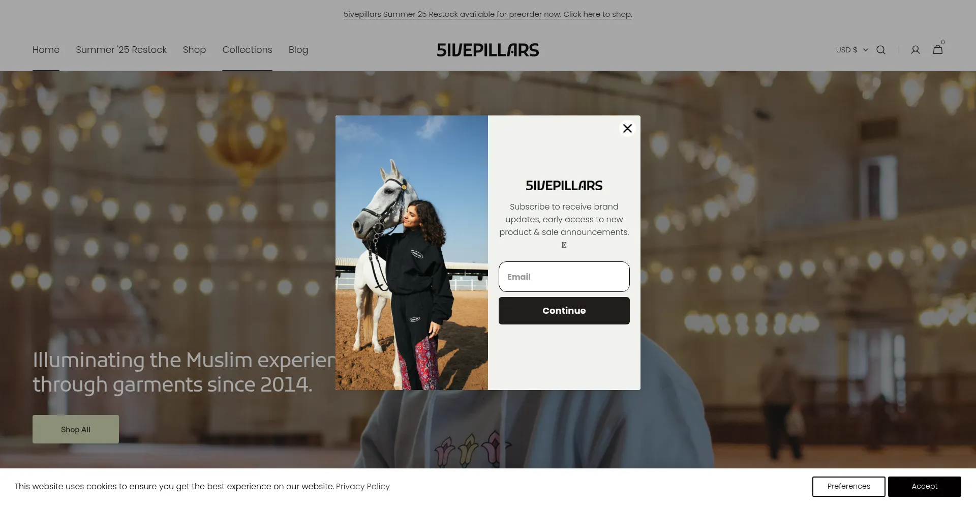 5ivepillars.co Screenshot