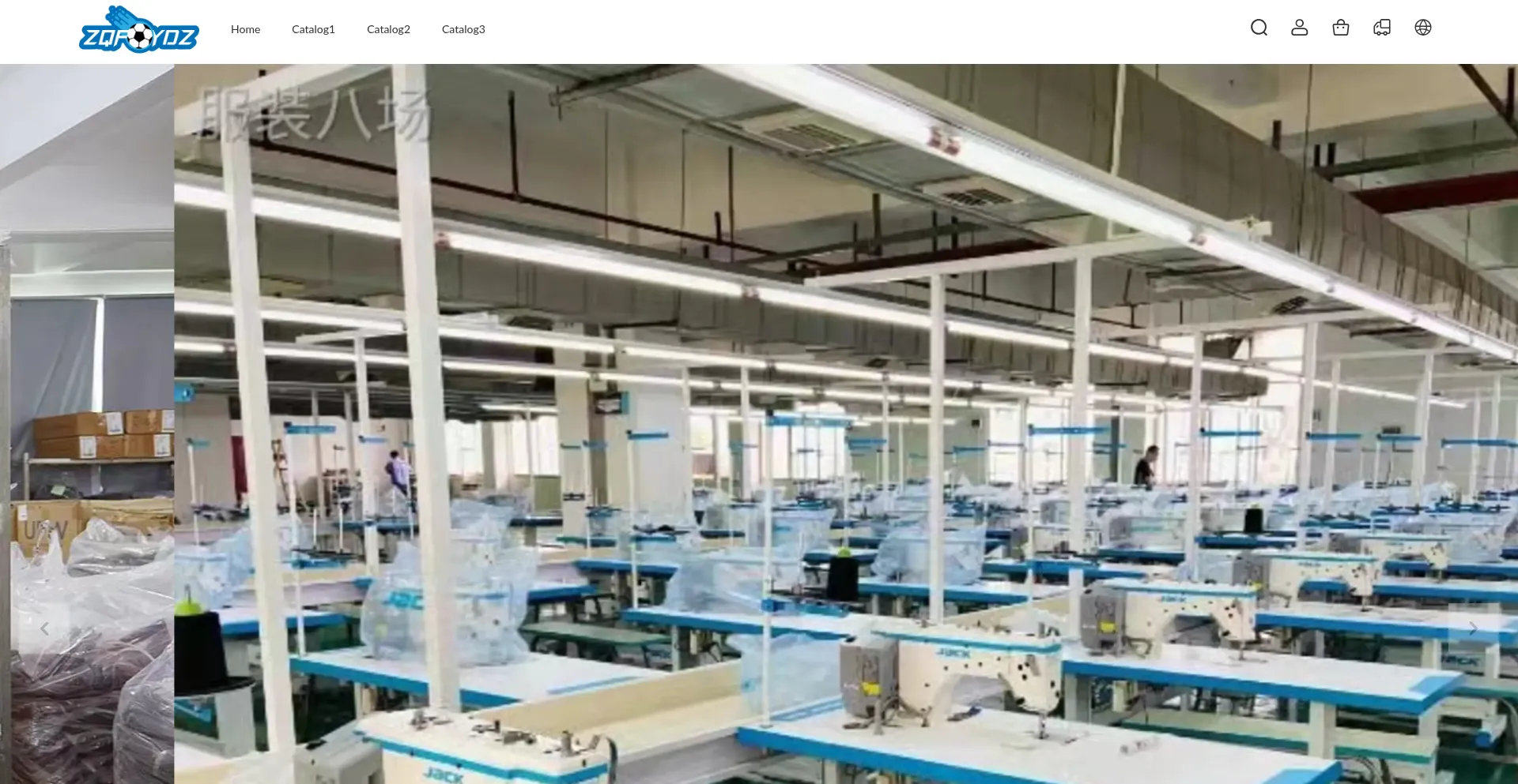 Website screenshot of 685898.vipshopbuy.com